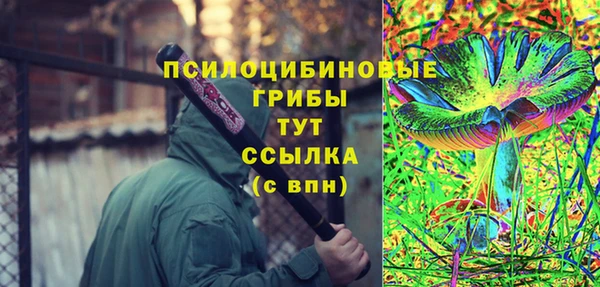 стаф Баксан