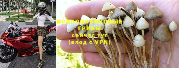 стаф Баксан