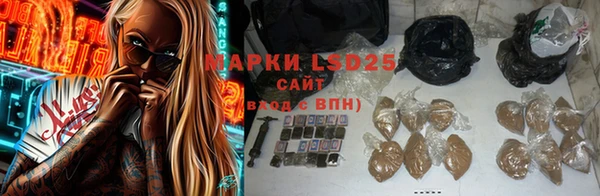 PSILOCYBIN Балабаново