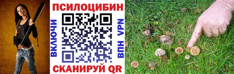 Псилоцибиновые грибы ЛСД  Изобильный 